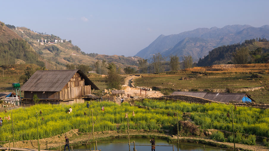 SAPA 2 DAYS 3 NIGHTS BY TRAIN (HOMESTAY)